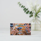 Tropische onderzeese laagvis Anemone Visitekaartje (Staand voorkant)