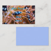 Tropische onderzeese laagvis Anemone Visitekaartje (Voorkant / Achterkant)