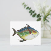 Tropische opaat,  zeewaterdier briefkaart (Staand voorkant)