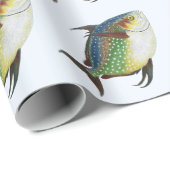 Tropische opaat,  zeewaterdier cadeaupapier (Rol Hoek)