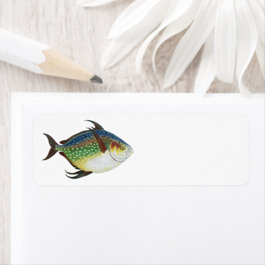 Tropische opaat,  zeewaterdier etiket (Insitu)