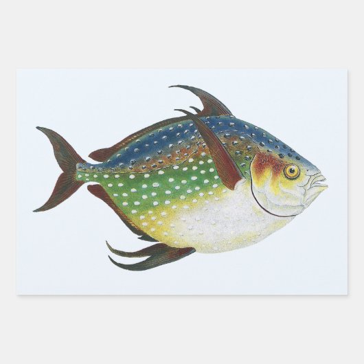 Tropische opaat,  zeewaterdier inpakpapier vel (Voorkant 3)