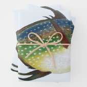 Tropische opaat,  zeewaterdier inpakpapier vel (In situ)