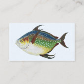 Tropische opaat,  zeewaterdier visitekaartje (Achterkant)