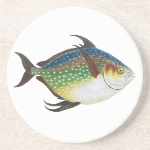 Tropische Opah-vis, Vintage Mariene Aquatische Die Zandsteen Onderzetter