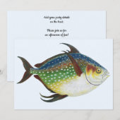 Tropische Opah-vis, vintage mariene waterdieren (Voorkant / Achterkant)