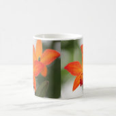 Tropische Oranje orchidee Mok (Center)