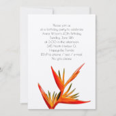 Tropische Oranje Paradijsvogel Uitnodiging (Voorkant)