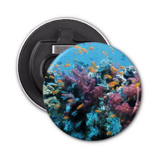 Tropische Oranje vis en roze koraal Button Flesopener (Voorkant)