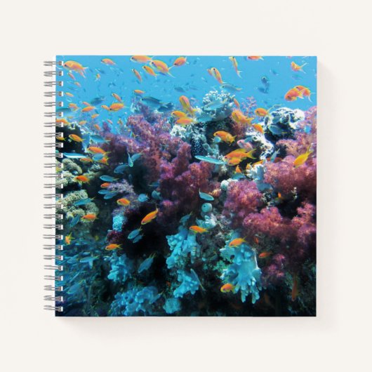 Tropische Oranje vis en roze koraal Notitieboek (Voorkant)