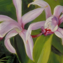 Tropische Orchidee Botanische Kunst