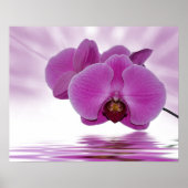 Tropische Orchidee Poster (Voorkant)