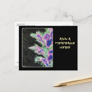 'Tropische Orchidee' Schilderij op een Briefkaart