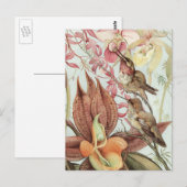  tropische orchideeën, bloemen en levende vogels briefkaart (Voorkant / Achterkant)