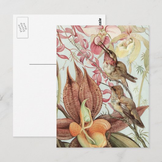  tropische orchideeën, bloemen en levende vogels briefkaart (Voorkant / Achterkant)