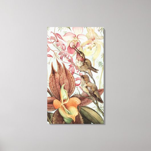  tropische orchideeën, bloemen en levende vogels canvas afdruk (Voorkant)
