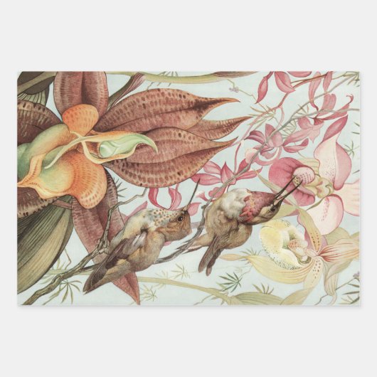 tropische orchideeën, bloemen en levende vogels inpakpapier vel (Voorkant 2)