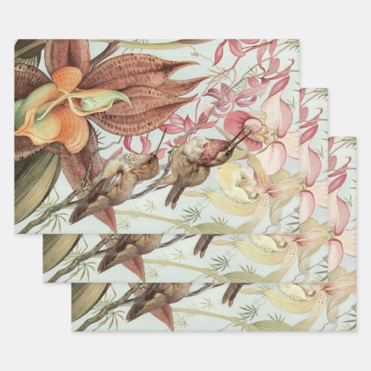 tropische orchideeën, bloemen en levende vogels inpakpapier vel (Set)