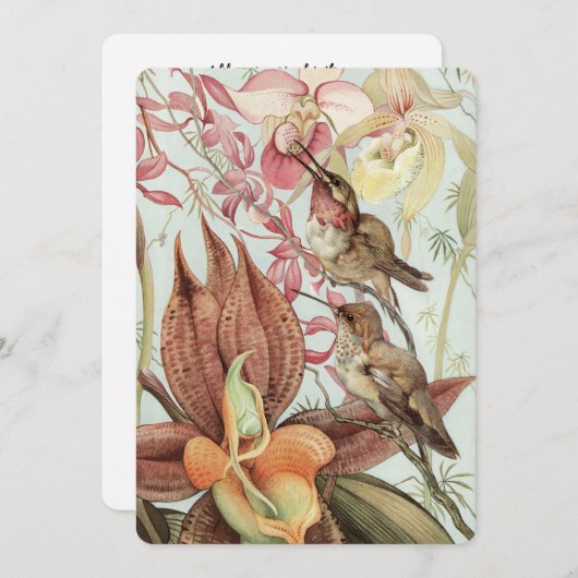 tropische orchideeën, bloemen en levende vogels kaart (Voorkant / Achterkant)