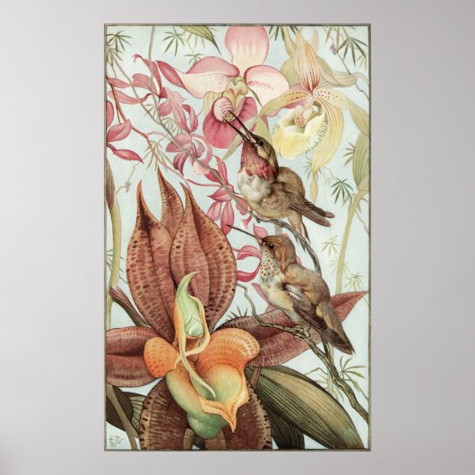 tropische orchideeën, bloemen en levende vogels poster (Voorkant)