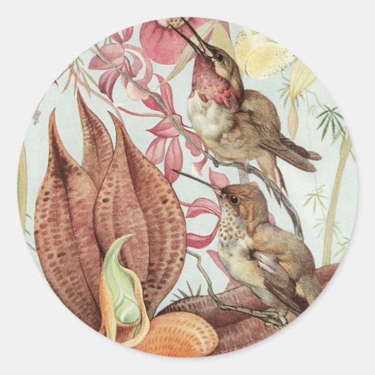  tropische orchideeën, bloemen en levende vogels ronde sticker (Voorkant)