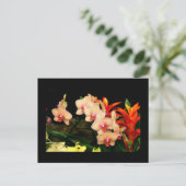 Tropische orchideeën briefkaart (Staand voorkant)