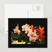 Tropische orchideeën briefkaart (Voorkant / Achterkant)
