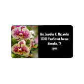 Tropische orchideeën etiket (Voorkant)