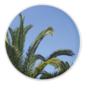 Tropische palm keramische knop (Voorkant)