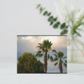 Tropische Palm Schemering Briefkaart (Staand voorkant)