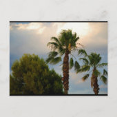 Tropische Palm Schemering Briefkaart (Voorkant)
