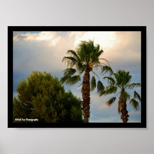 Tropische Palm Schemering Poster (Voorkant)