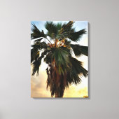 Tropische Palm Sunset – Uitgerekt Canvas Print (Voorkant)