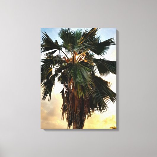 Tropische Palm Sunset – Uitgerekt Canvas Print (Voorkant)