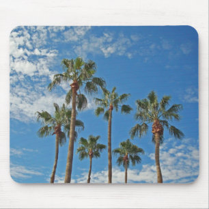 Tropische palm Trees Blue Sky Paradise Island Muismat