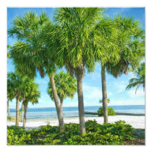 Tropische Palm Tuin Muur Kunst Kust Decoratie