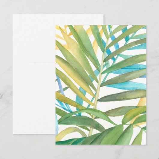 Tropische palmbladeren briefkaart (Voorkant / Achterkant)