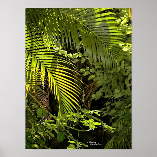 Tropische palmbladeren en planten bos Poster (Voorkant)