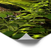 Tropische palmbladeren en planten bos Poster (Hoek)