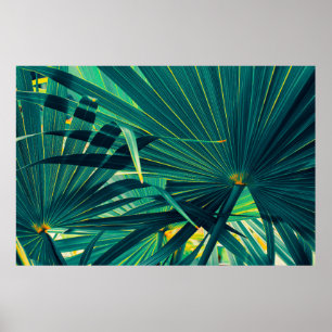 Tropische palmbladeren poster
