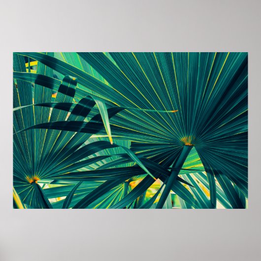 Tropische palmbladeren poster (Voorkant)