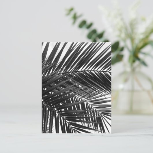 Tropische palmbladeren - Zwarte en witte fotografi Briefkaart (Staand voorkant)