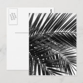 Tropische palmbladeren - Zwarte en witte fotografi Briefkaart (Voorkant / Achterkant)