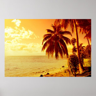 Tropische palmbomen aan een strand bij zonsonderga poster