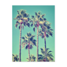 Tropische  palmbomen