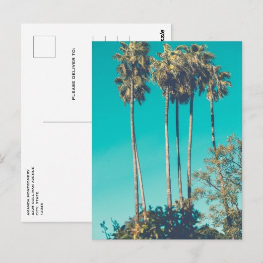 Tropische palmbomen California Retro Briefkaart (Voorkant / Achterkant)