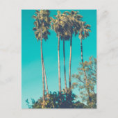 Tropische palmbomen California Retro Briefkaart (Voorkant)