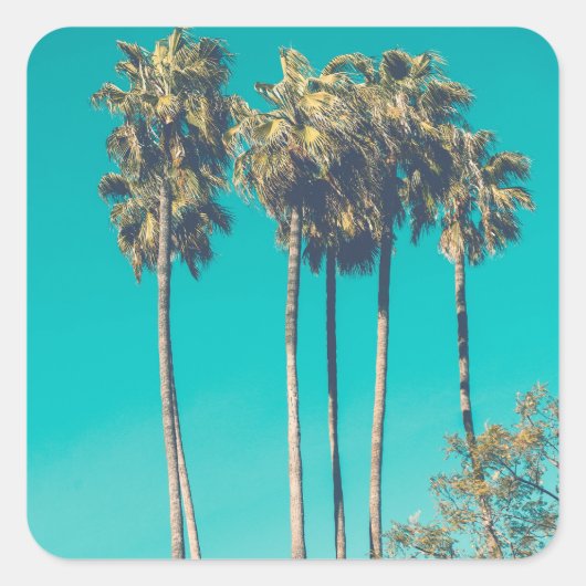 Tropische palmbomen California Retro Vierkante Sticker (Voorkant)
