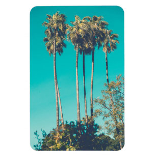 Tropische palmbomen Californië Retro sfeer Magneet