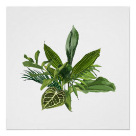 Tropische palmbomen en exotische bladeren. perfect poster